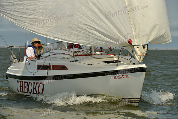 2016 Southern Bay Race Week B_0760