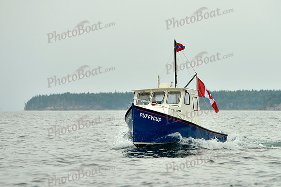 2016 Chester Race Week E_0218