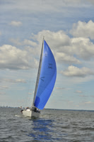 2016 Vineyard Race A_0576