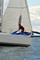 2010 IRC LIS 563