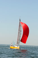 2012 Vineyard Race A 583