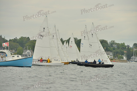 2016 Chester Race Week E_0196