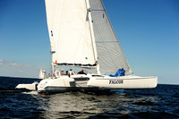 2014 Vineyard Race A 1542