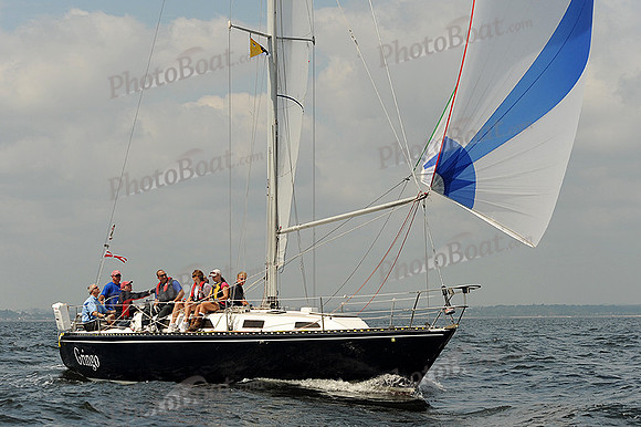 2013 Vineyard Race A 875
