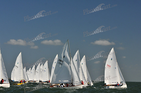 2012 Thistle Midwinters C 040