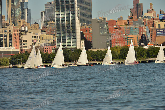 2016 NY Architects Regatta_0724