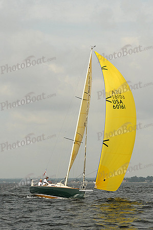 2013 Vineyard Race A 243