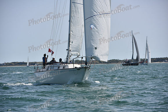 2019 Figawi_0201