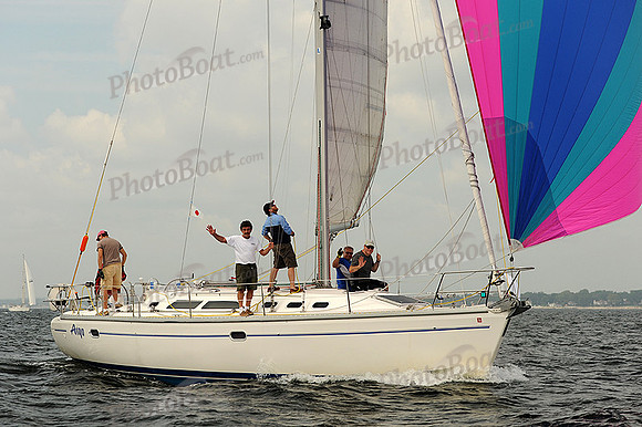 2013 Vineyard Race A 345