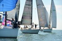 2015 Cape Charles Cup A 891