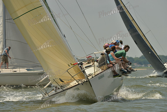 2016 Southern Bay Race Week A_1604