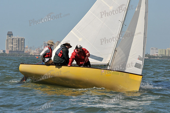 2012 Thistle Midwinters B 1021