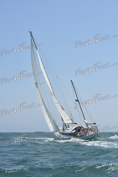 2022 Newport Bermuda_1213