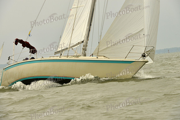2016 Southern Bay Race Week A_1148