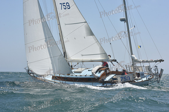 2022 Newport Bermuda_1209