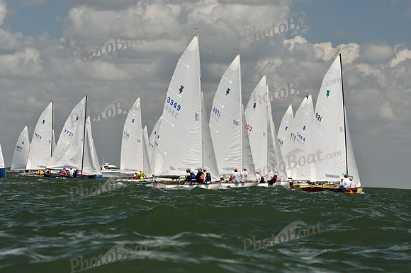 2012 Thistle Midwinters C 552