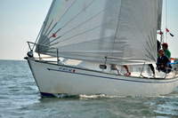 2017 Stamford Denmark Race_0290