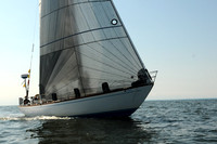 2011 Vineyard Race A 2098