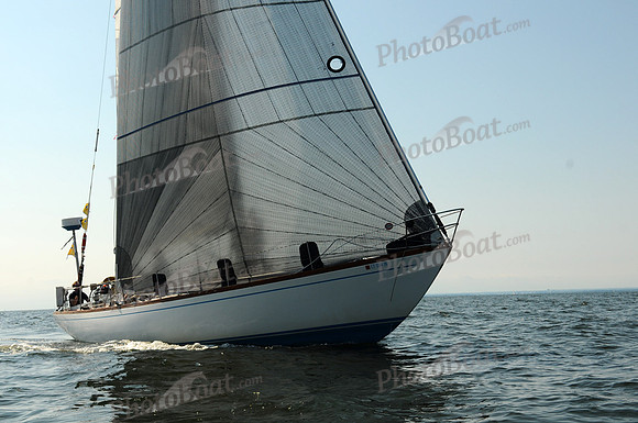 2011 Vineyard Race A 2098