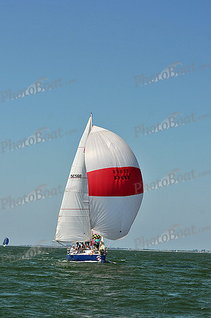 2013 Southern Bay Race Week C 710