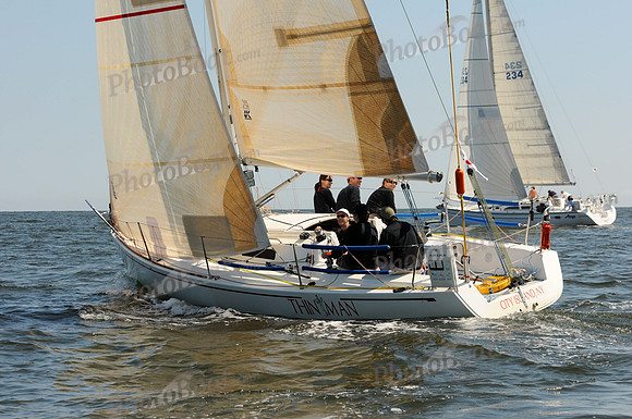 2011 Vineyard Race A 260
