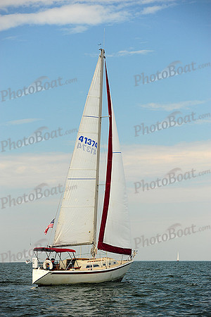2014 Cape Charles Cup B 278