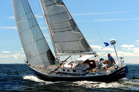 2014 Vineyard Race A 356