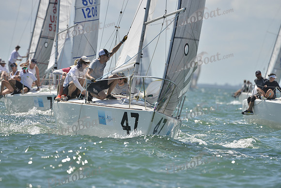 2019 J24 Worlds C_0175