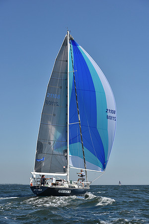 2019 Vineyard Race A_0853