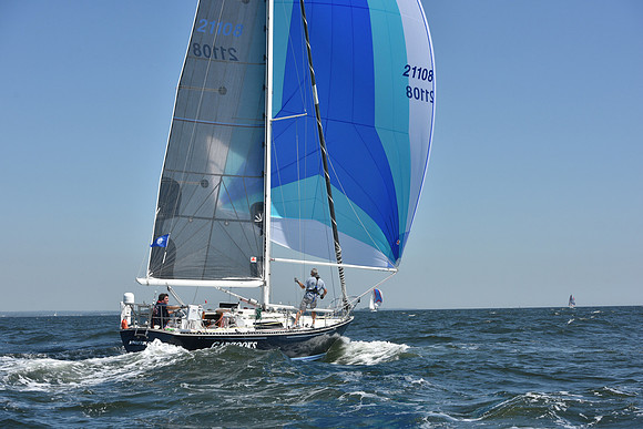 2019 Vineyard Race A_0854