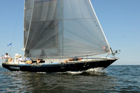2011 Vineyard Race A 1816