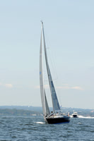 2011 Vineyard Race A 544
