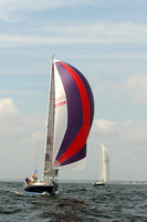 2013 Vineyard Race A 493