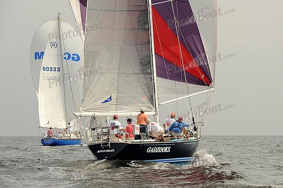 2013 Vineyard Race A 503
