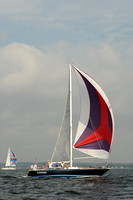 2013 Vineyard Race A 484