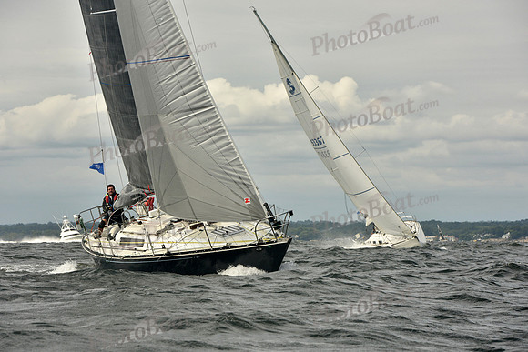 2018 Vineyard Race A_1344