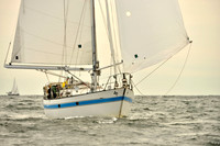 2017 Vineyard Race B_0250