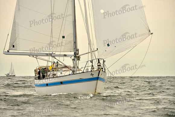 2017 Vineyard Race B_0250