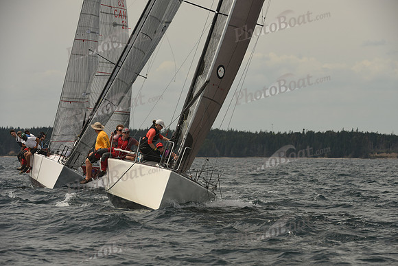 2016 Chester Race Week C_1172