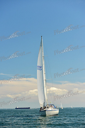 2015 Cape Charles Cup C 618