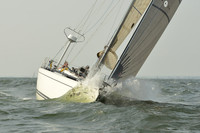 2015 Vineyard Race A 785