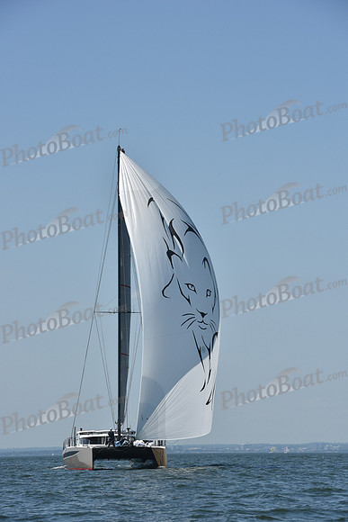 2019 Vineyard Race A_2438