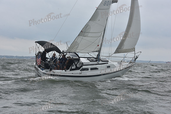 AMC_2033