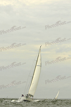 2013 Charleston Race Week A 462