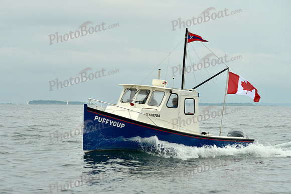 2016 Chester Race Week E_0227