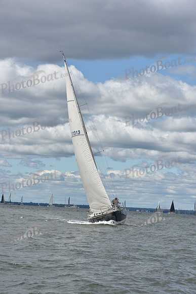 2021 Vineyard Race A 0143