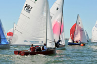 2012 Thistle Midwinters A 534