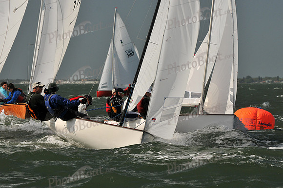 2012 Thistle Midwinters B 566