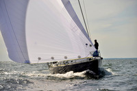 2017 Vineyard Race A_2099