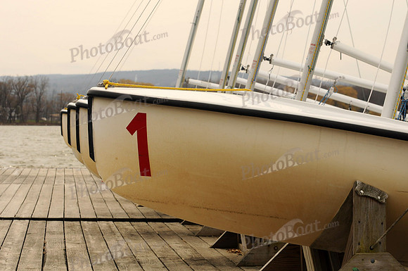 2011_MAISA_Prosser_F 038